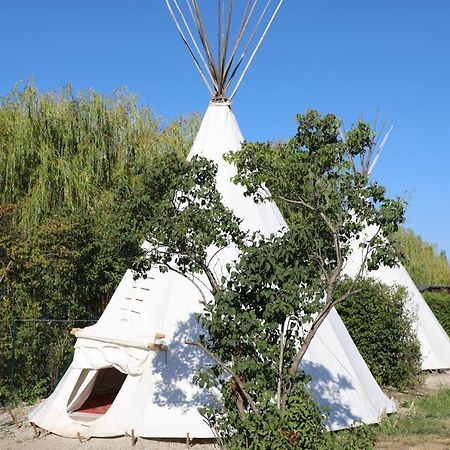 Storchencamp Gaestehaus Руст Экстерьер фото